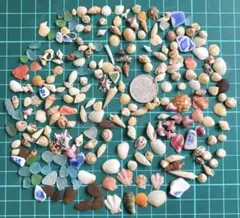 Item thumbnail for item edb5765f-2412-42c7-bd7d-877cce2825f4