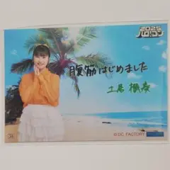 ハロコン2025　土居楓奏　コレ写
