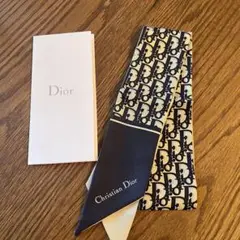 クリスチャンディオール　ミンツァスカーフ