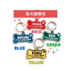 Item thumbnail for item 282b204a-bc1b-4c3e-a6c5-0083fd9a9aca