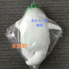 セクシー大根