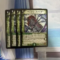 ベニジシスパイダー 4枚