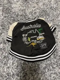 Item thumbnail for item 95a47c1d-ceae-4a30-8687-49509b107cac