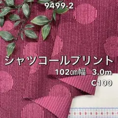 Item thumbnail for item ae317712-993d-4251-9d3b-ea30dd7087e1