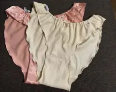 Item thumbnail for item 51b9ec45-2b6f-47b9-96d4-3813f6dd9a1e