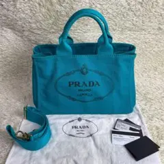 PRADA プラダ カナパ 2way 大サイズ PAVONE ショルダーバッグ