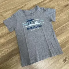 pataloha Tシャツ 4T グレー