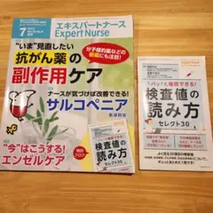 エキスパートナース 抗がん薬の副作用ケア 2017 7月号 vol.33　照林社