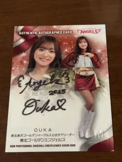 Item thumbnail for item 3fbd2dcd-5a67-4501-8ffa-6eddbe80e098