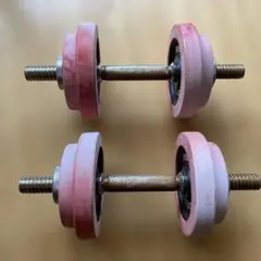 プロテック 2ピンクダンベル