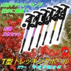 お得 2本セット 軽量トレッキンポ-ル T字型 金色 登山杖 ステッキ アルミ