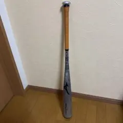 【最終値下げ】Mizuno Wing Zone + 軟式バット 82cm