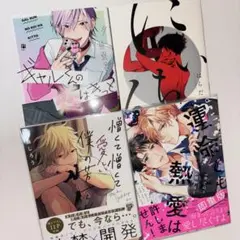 BL コミック まとめ売り バラ売り
