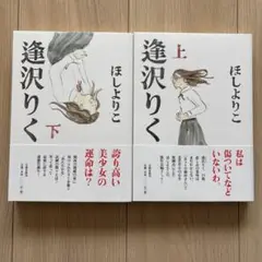 逢沢りく上下巻(2冊)
