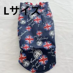 Item thumbnail for item 1de4acf3-d3ae-4859-843f-cc292627e725