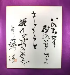 書道作品　書道アート　いのちなき…