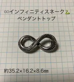 インフィニティスネーク　トップ
