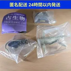 即購入OK★ガチャ 古生物 フタバスズキリュウ(骨格標本色)①