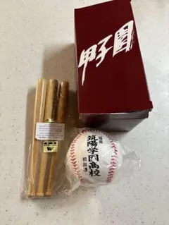 筑陽学園第91回高校野球初出場記念ボールと木製バットセット