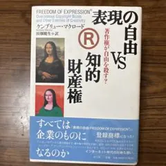 表現の自由vs知的財産権 : 著作権が自由を殺す?