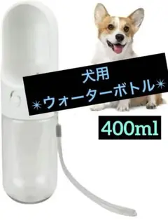 Item thumbnail for item fdd647e0-8a91-4f6c-830b-52fde5b50456