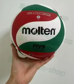 molten V5M5000 バレーボール