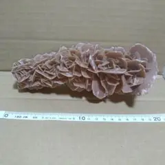 Item thumbnail for item fb1fd99b-77f6-4792-960c-67ffd7b962c7
