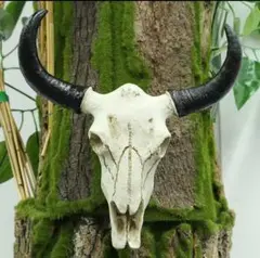 カウヘッド スカル 壁掛け オブジェ