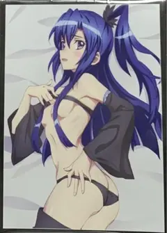 α1 シンフォギア ネグリジェ&横向き 風鳴翼 スリーブ&プレイマット Amazon.co.jp: α1 シンフォギア ネグリジェ横向き 風鳴翼