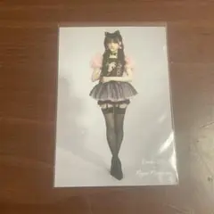 Item thumbnail for item 2204b17e-f7c5-4d75-9074-0a85a1e50661