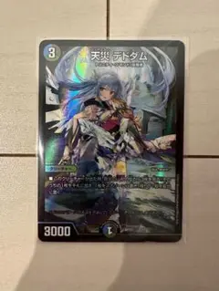 天災 デトダム