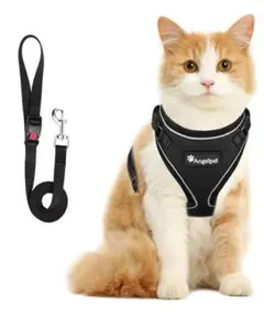 Item thumbnail for item b7eda21f-a129-4fb5-b706-411d363e843b