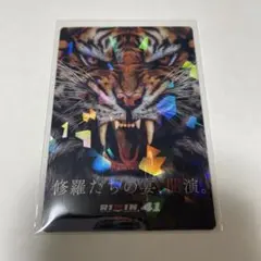 rizin 41 ポテトスティック　ポスターカード　No.19