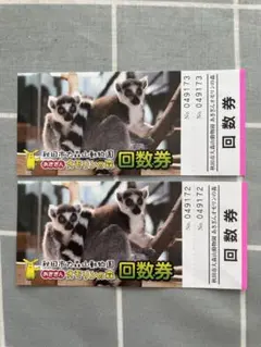 格安 秋田市大森山動物園 オモリンの森