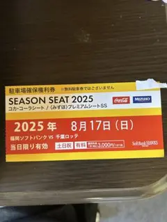 2025年8月17日 みずほpay payドーム 駐車場確保権利券