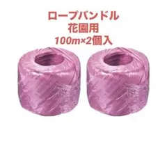 Item thumbnail for item 83a01b88-ed81-4892-8e72-bf645f343d40