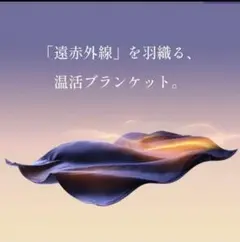 2025年最新】ニューピースリカバリーブランケットの人気アイテム