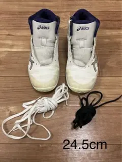 アシックス バスケットシューズ