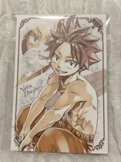 ナツ フェアリーテイル プリンセスカフェ ポストカード
