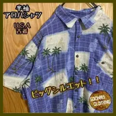 Item thumbnail for item 8b6a1d93-675b-4c69-82d4-8d3adbf9bdfb