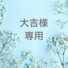 22%off ゴコチ GOCOCI ブラトップ LL