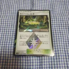 ポケモンカード ライフフォレスト トレーナーズ