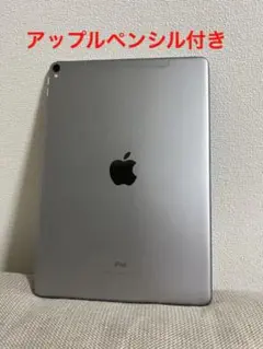 APPLE iPad Pro IPAD PRO 10.5 iPad本体