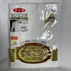 Item thumbnail for item e0199749-1f34-4db1-8d69-0ef731c68ff6