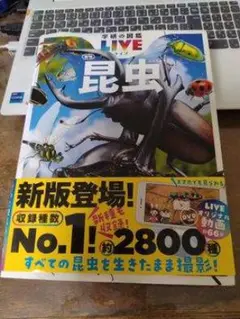 学研の図鑑LIVE（ライブ）昆虫 新版 DVD付き　24h以内に発送