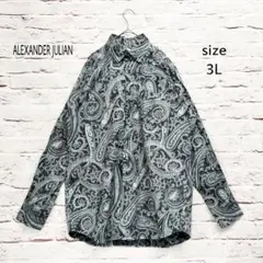 【美品】ALEXANDER JULIAN 総柄 ペイズリー柄 長袖シャツ BD