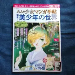 大人の少女マンガ手帖偏愛!美少年の世界 : わたしたちの愛した美少年マンガベス…