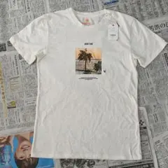 スウィベル（Swivel） tシャツ 半袖 PHOTO Tシャツ 夏らしい