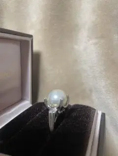 Item thumbnail for item c9e91d62-199b-4934-9a95-efca79e82ba4