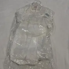 Item thumbnail for item 765c3638-5998-4d17-bead-5e722e929027